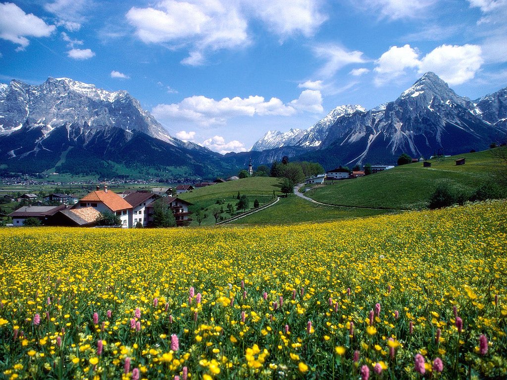 Countryside Splendor, France